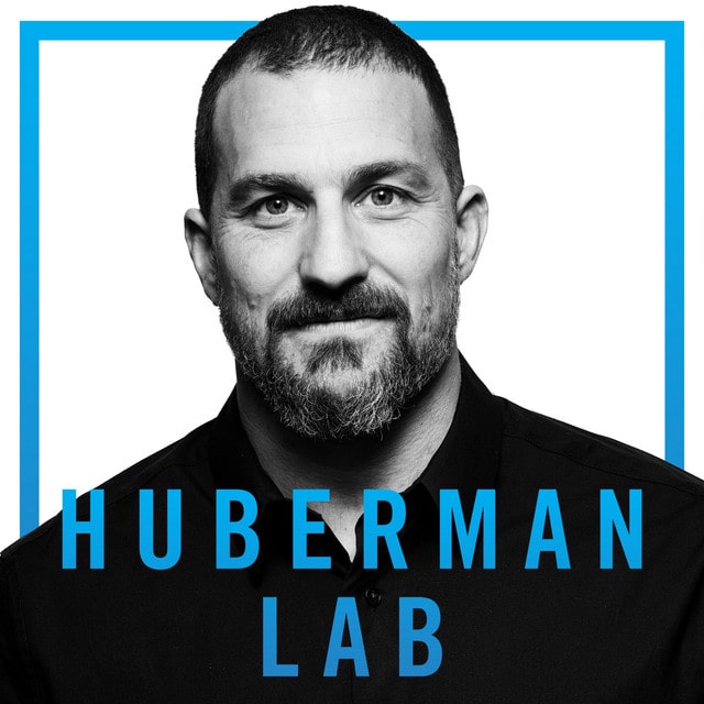 Best educational podcast nr. 6: Huberman Lab (cover image) 